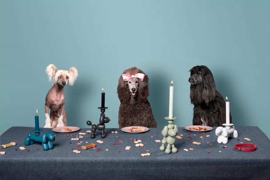 Fatboy Can-Dolly Kandelaar Poedel Sandy Beige - Afbeelding 7