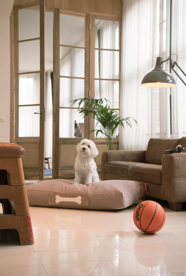 Fatboy Doggielounge Stonewashed Hondenkussen Small Blauw - Afbeelding 5